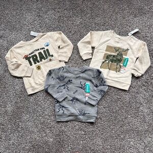 NEW! Kids 2T Graphic Sweatshirts Bundle